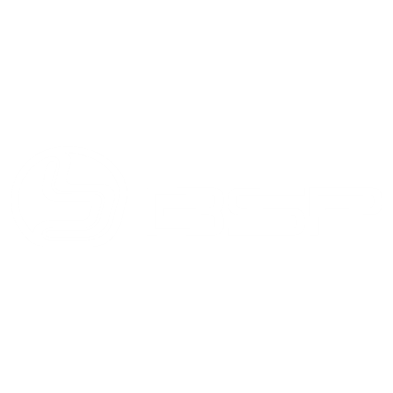 bsp_logo